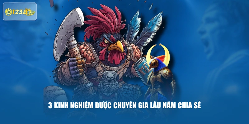 3 kinh nghiệm được chuyên gia lâu năm chia sẻ
