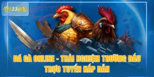 Đá Gà Online - Trải Nghiệm Trường Đấu Trực Tuyến Hấp Dẫn